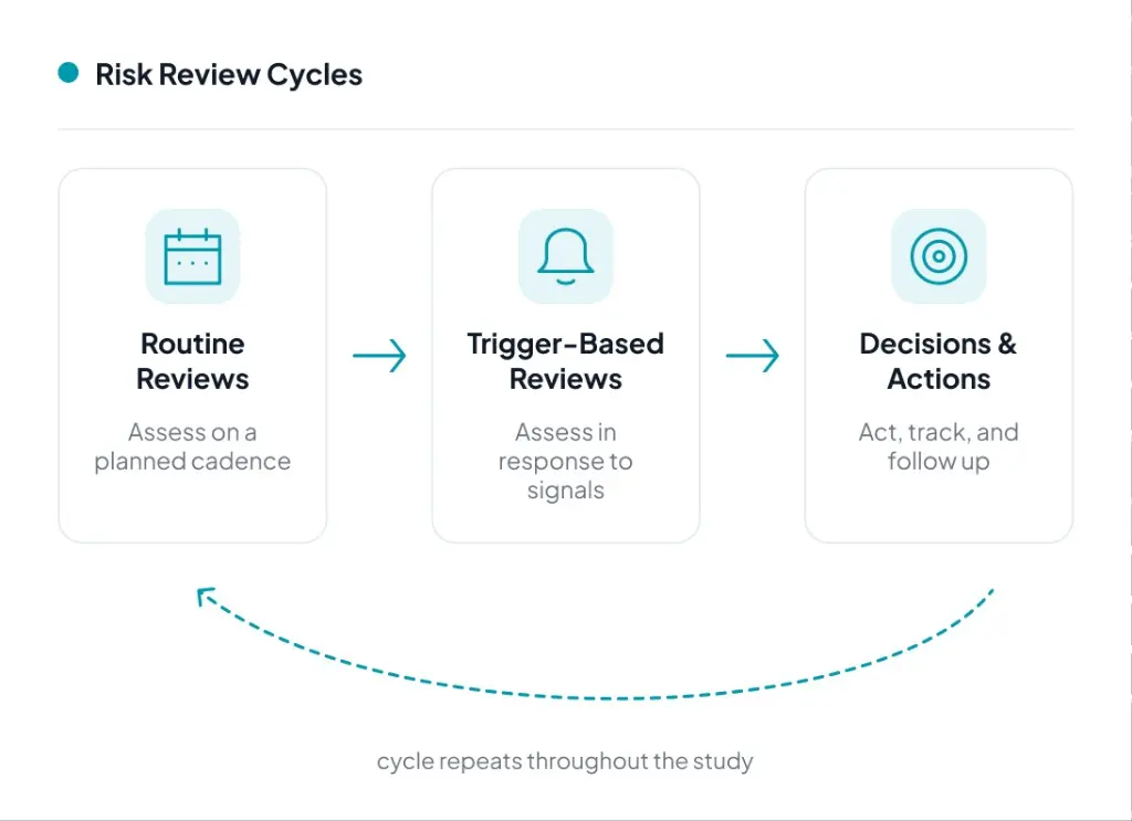 WiseCLIN Risk Review Cycles process diagram